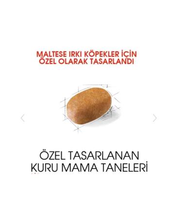 Hill's SCIENCE PLAN Salmon Sterilized Adult Cat Food 8+2 Kg - Buy Online on GoSupps.com