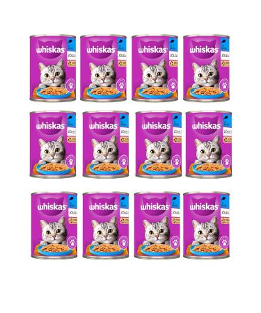 Royal Canin Yorkshire Terrier Adult Dog Food 1.5kg - Buy Online on GoSupps.com