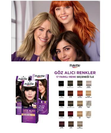 Eye-Catching Colors in Palette 3-0 Dark Brown Hair Dye - Buy Online on GoSupps.com