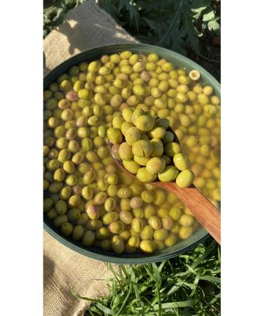 Mint Powder 1 Kg