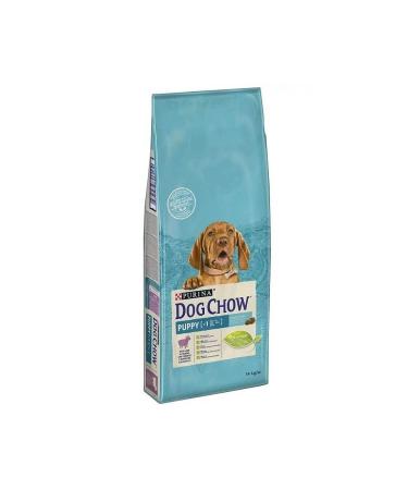 DEDEOGLU GIDA Ginger Powder 500 gr