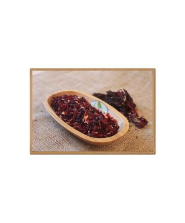 Rapier Artemia Extraction Set