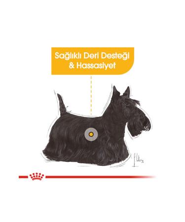 Ali The Stereo Royal Canin Mini Dermacomfort Adult Dog Food 3 Kg alithestereo