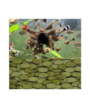 AMORE Tropical Mix Granules 125 Ml Livebearing Fish Food and Spirulina Tablets 12 Pieces and Vitamin Set - Buy Online on GoSupps.com