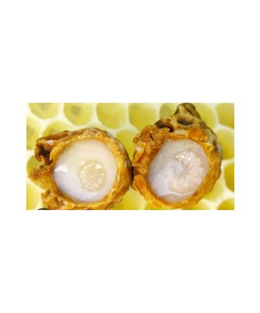 Aselife Royal Jelly 30 gr