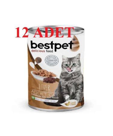 Bestpet Kitten Chicken Jelly Cat Pouch Wet Food 85 gr X 12 Pieces