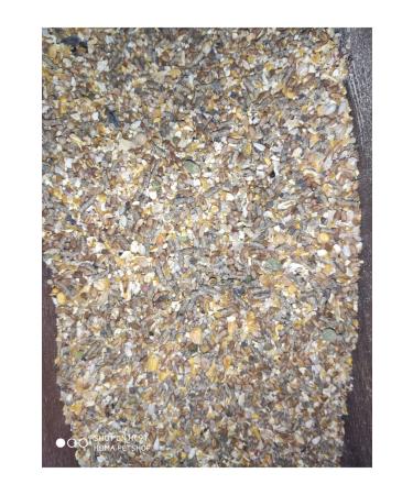 Bio PetActive Bio Dermadog 0.5 Brewer's Yeast 150 Tablets