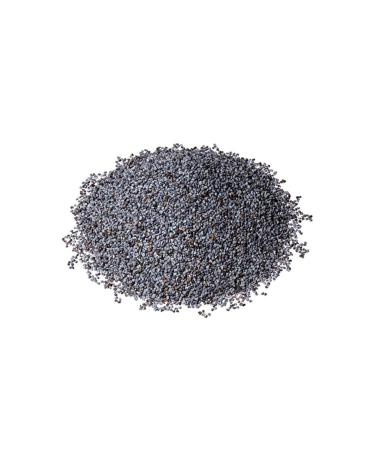 Bio PetActive Bio Pet Active Derma Cat Skin Health Supporting Cat Vitamin Paste 100 Ml