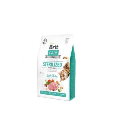 bonavitaa 24-Piece Bonavita Fish Kitten Food