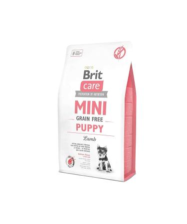 Buhara Wholesale Ginger Powder 50 Gr X 12 Pcs.