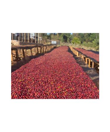 aykur Alt nba Teapot Tea Bag 5 gr 200 pcs 6 Packs