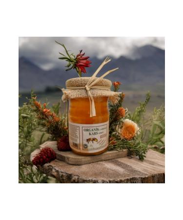 amik Organic Honey Extracted Flower Honey (450 GR)