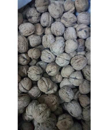 aykur No. 42 Tirebolu Black Loose Tea 6 X 500 G