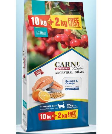 aykur SPROUT TEA 1 KG X 1 PIECE