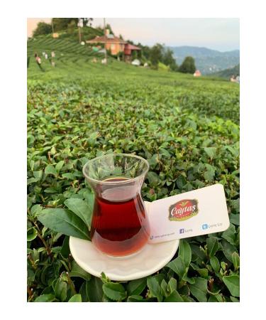 Chedy Chicken Sterilized Cat Food 5 Kg - Buy Online on GoSupps.com