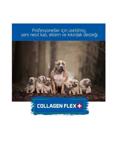 Collagenflex Collagen Flex Original and Officially Patented Advanced Development Set for Dogs. - Buy Online on GoSupps.com
