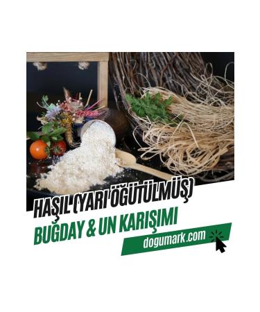 DAY2DAY The Collagen Beauty Plus Mango Flavored Food Supplement 10000mg 30TubeX40ml