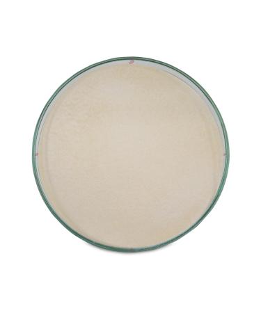 DAYE HATUN St. John's Wort Vinegar / St. John's Wort Vinegar (naturally Fermented Live Vinegar / 500 Ml) - Buy Online on GoSupps.com