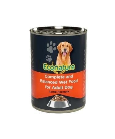 Econature Adult Dog Canned Food with Salmon 400 gr - Petshopundan