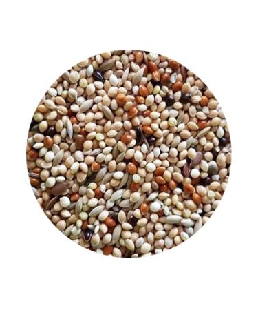 Forever Living Forever Ivsn