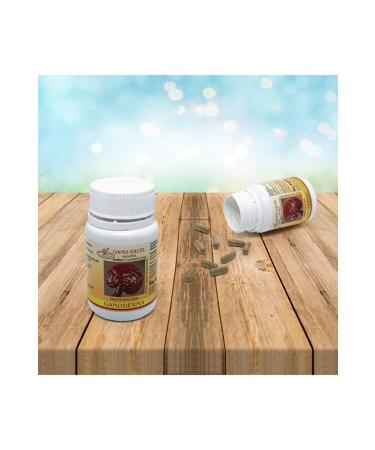 Golden Goat 3 400gr Goat Milk | Follow-on Milk from 12 Months