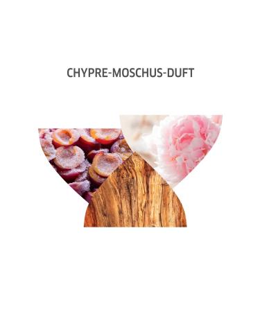 Wella Koleston Supreme Hair Dye 8/74 Mystery Brown