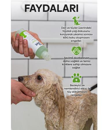 Imutor Beta Glucan 100 Mg 30 Capsules