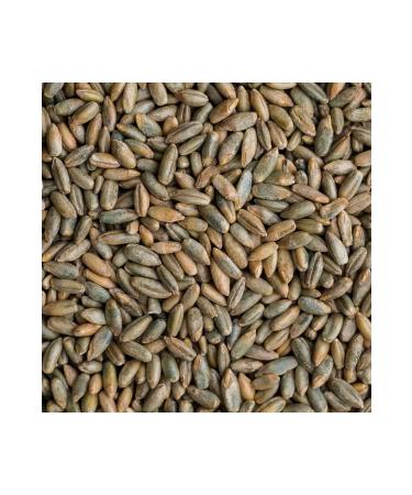 Ixir Lady Cumin Aniseed Breast Milk Increasing Helper 30 Filtering Tea Bags