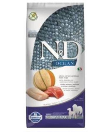 N & D Prime Grain Free Kitten Chicken Pomegranate Kitten Canned Food 80 Gr 4 Pieces