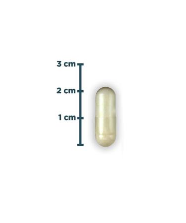 Natures Supreme Probiotic 5b 60 Capsules - Unflavored - Buy Online on GoSupps.com