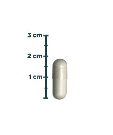 Natures Supreme Zinc 15 Mg 100 Capsules - Buy Online on GoSupps.com