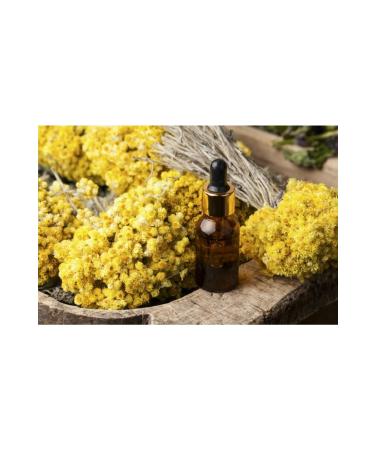 Orijen Puppy Large Grain Free Large Breed Puppy Food 6kg