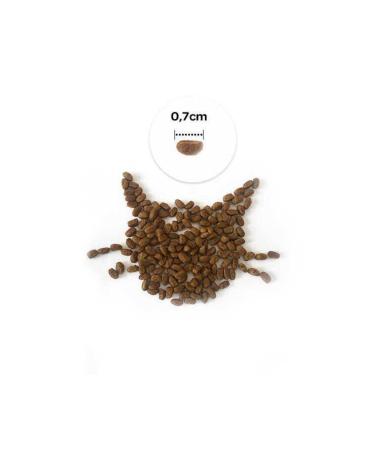 Orijen Six Fish Grain-Free Fish Adult Dog Food 2kg