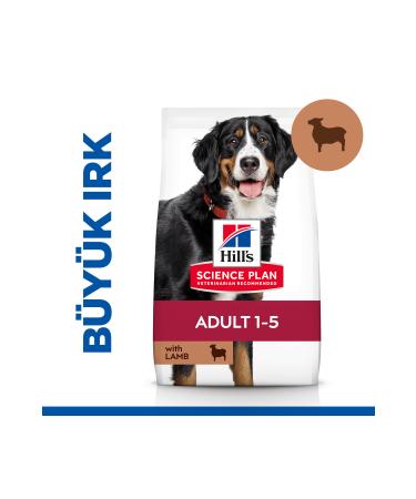 Hill's SCIENCE PLAN Lamb and Rice Large Breed Adult Dog Food 12+2 Kg