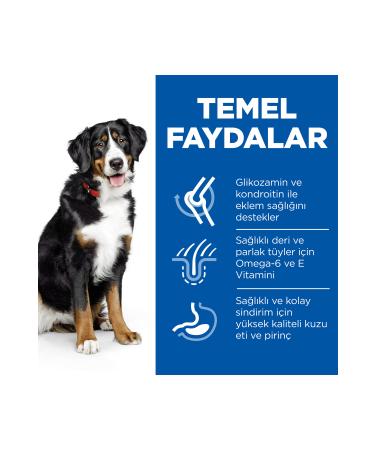 Hill's SCIENCE PLAN Lamb and Rice Large Breed Adult Dog Food 12+2 Kg - Buy Online on GoSupps.com