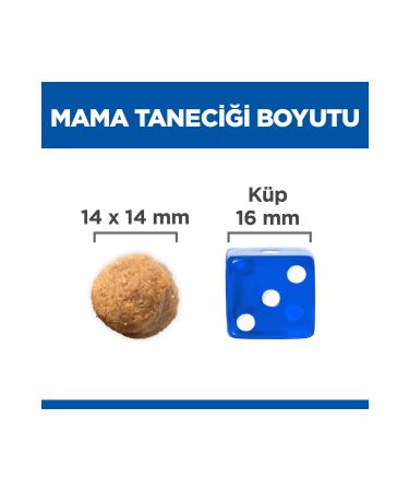 Hill's SCIENCE PLAN Lamb and Rice Large Breed Adult Dog Food 12+2 Kg - Buy Online on GoSupps.com