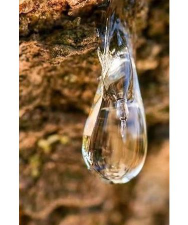 Pepper Chili pepper 500 gr