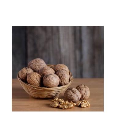 Kg Dried Food Dry Beans (3 Kg)