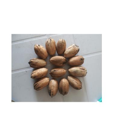 Local Cocktail Green Olives 2 kg