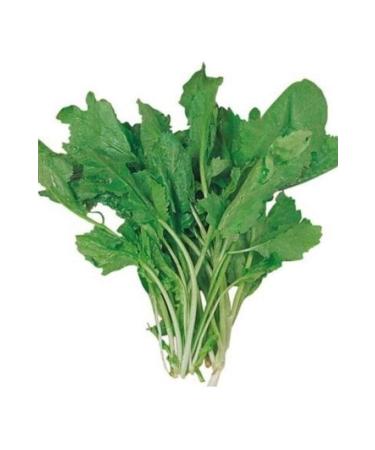 Ginger Organic Black Cumin Pulp 5 Kg De-oiled Pressed Black Cumin Pulp Black Cumin Pulp