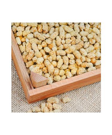 DATE MEDJOUL JUMBO 500 GRAMS