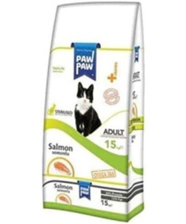 Pavrika Powder Cinnamon 1st Class Organic Bulk - 500 Gr