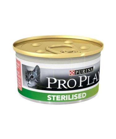 Tropical Asta Color Flakes Bucket 2000 GR
