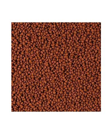 Thyme 1 Kg
