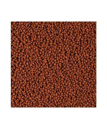 Tropical Cichlid Carnivore Small Pellet 100 Gram Small Granule Fish Food