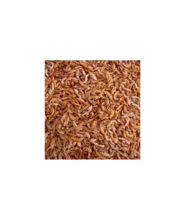 Enjoy Multicolor Colorful Chicken Food 10kg - Buy Online on GoSupps.com