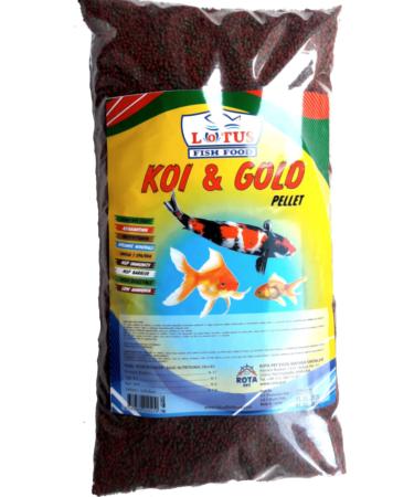 Lotus Top uk Bag Japanese Fish Food 860 gr