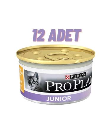 Pro Plan Salmon and Rice Small Breed Adult Dog Food 3 Kg Skt 06.21