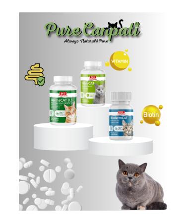 Proline Lamb Rice Cat Food 1200 gr