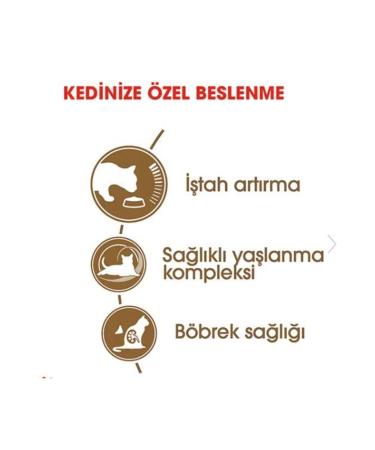 ReeFlowers Pure Strontium 250 ML